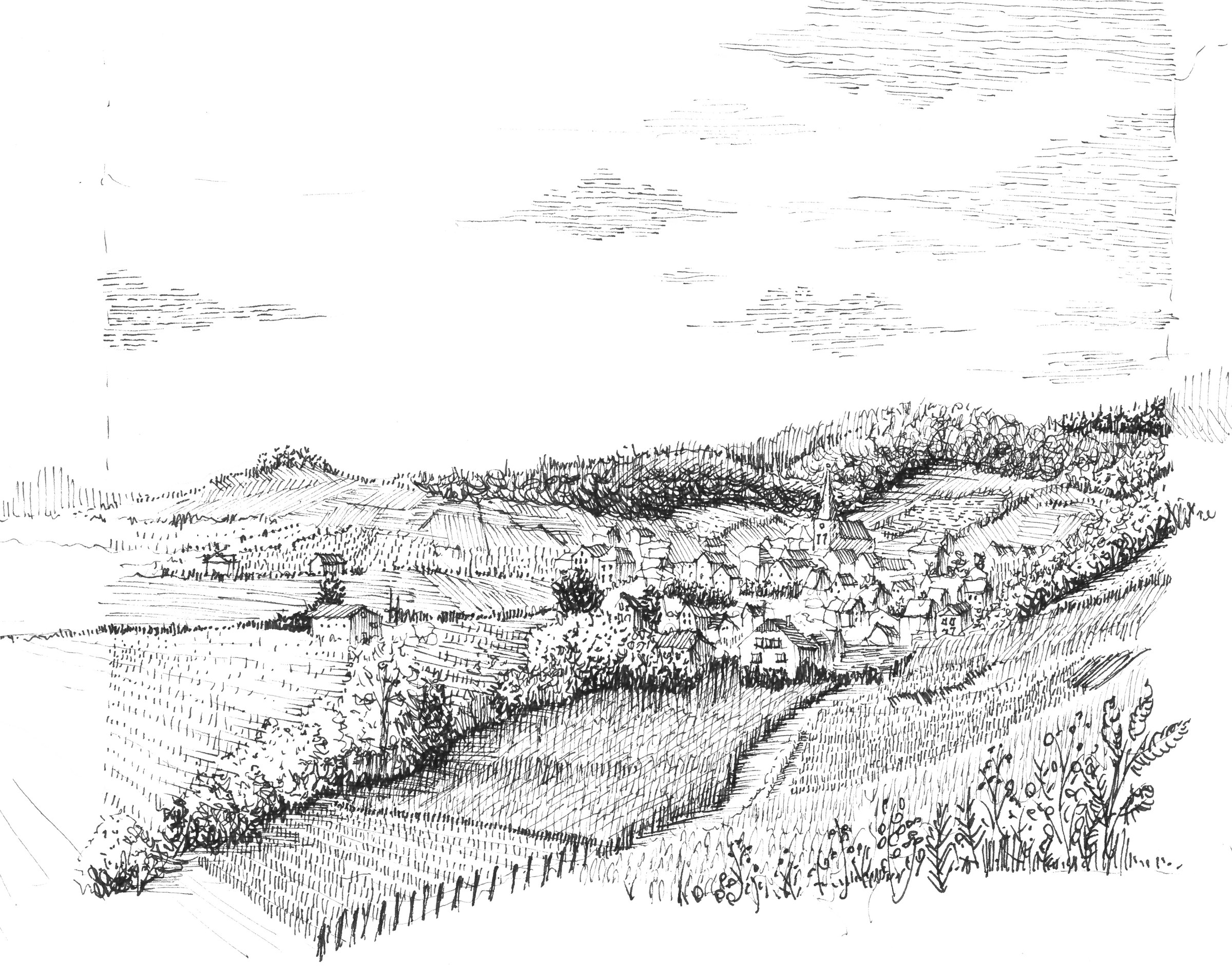 Niedermorschwihr · Label for La Rogerie Alsatian wine