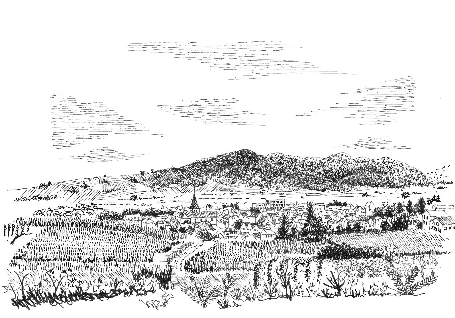Turckheim · Label for La Rogerie Alsatian wine