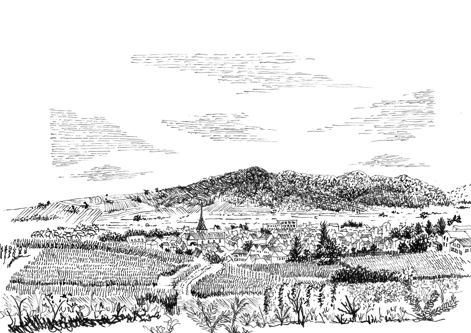 Pen drawing of the village of Turckheim amid vineyards