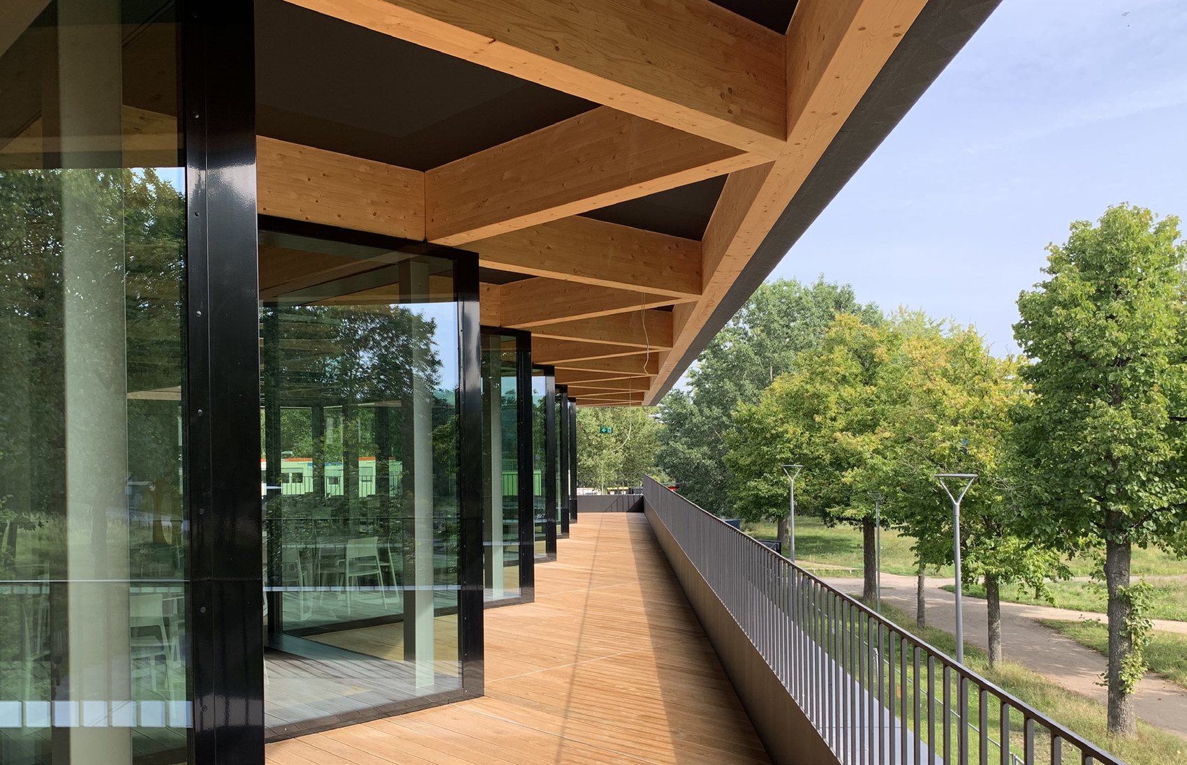 Mensa - upper timber balcony walkway with exposed glulam soffit overlooking the park